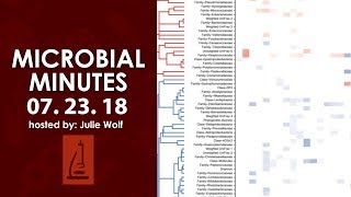 Microbiome disease databases HIV vaccine trial and antibiotic updates  Microbial Minutes [upl. by Anitac948]