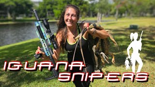 Giant Iguanas taken with Air Rifles in South Florida [upl. by Nakasuji161]