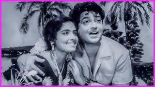 Rasanu Premalekhalenno Video Song  HarinathKR Vijaya Evergreen Superhit Song  Sridevi Movie Songs [upl. by Wampler]