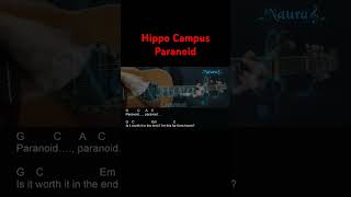 Hippo Campus  Paranoid Guitar Chords Lyrics shorts [upl. by Otrebliw76]