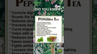 Health Benefits of Peppermint Tea [upl. by Rehpotsirc244]