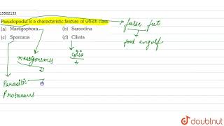 Pseudopodia is a characteristic feature of which class [upl. by Donata82]