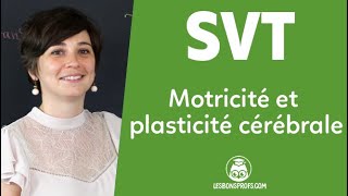 Motricité et plasticité cérébrale  SVT  Terminale  Les Bons Profs [upl. by Arej100]