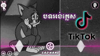 បទអង់គ្លេសសេដល្បីក្នុង tik tok 2022  Song english in tiktok Sad [upl. by Fellner772]