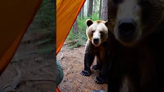 Camping Gone Wrong 🐻 Big Brown Bear Sits Right Next to Our Tent [upl. by Cerys690]