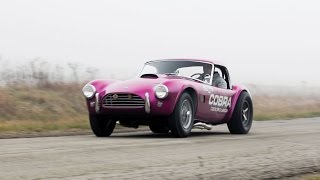 Shelby Cobra DragonSnake CSX2093 [upl. by Ytinirt583]