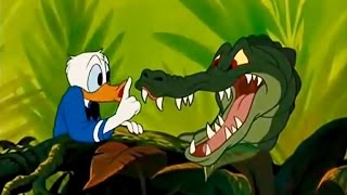 DONALD DUCK All Cartoon Full Episodes New English Compilation 2015 [upl. by Swiercz692]