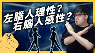 「右腦圖像學習法」學英文特別有用？全腦開發可以讓人變得更聰明嗎？《 七七科學探索 》EP 011｜志祺七七 [upl. by Evetta162]