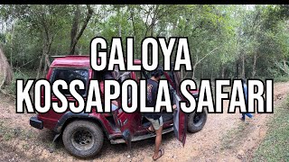 Galoya Kossapola Forest  ගල්ඔය කොස්සාපොල සෆාරි [upl. by Eirruc]