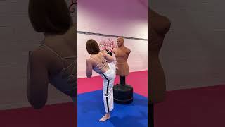 Slap Kick actionfest martialarts taekwondo mma karate shorts [upl. by Suissac]