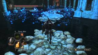 Dark Souls 2 First Playthrough 35  BOSS Mirror Knight Defeated Into the Shrine of Amana [upl. by Aneela]