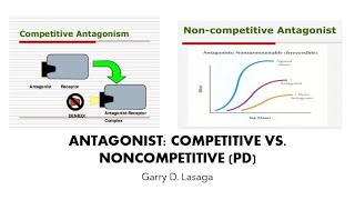 VET PHARMA 1  37 Antagonists Competitive vs Noncompetitive PD  20222023 [upl. by Acus444]