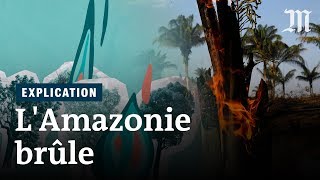 Pourquoi lAmazonie brûle et pourquoi cest grave [upl. by Hcaz731]