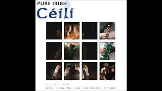 Pure irish Ceili  Reels Hornpipes Jigs Set Dances amp Slip Jigs  St Patricks Day [upl. by Sabino]