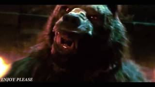 WereWolf or WereBear  Fight Scene HD [upl. by Westbrook364]