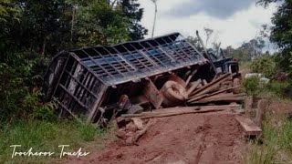 Trochas de COLOMBIA [upl. by Anniken]