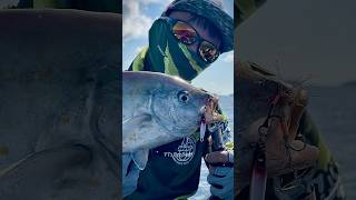 New Species Unlock Yellow Spotted Trevally 🎣🤩 fypageシ trevally kayakfishing microjig DRV [upl. by Gerstein732]