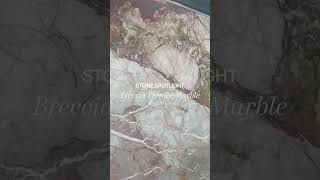 Stone Spotlight  Breccia Pernice Marble [upl. by Yllatan]