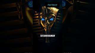 Mysteries of King Tutankhamuns Tomb 🏺✨ factburst [upl. by Loeb]