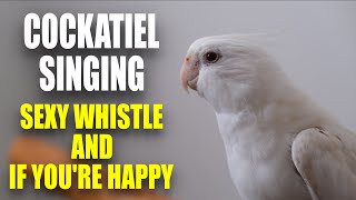 This Will Make YOUR COCKATIEL SING [upl. by Demott732]