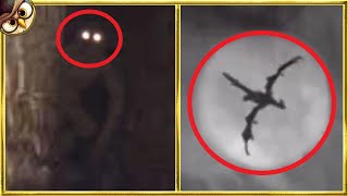 30 Mythical Creatures Caught On Camera amp Spotted In Real Life [upl. by Ewold]