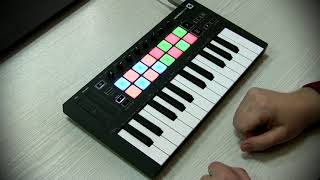 Madison Mars  New Vibe Who Dis Zvukarik cover Novation Launchkey mini [upl. by Galvin]