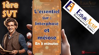 Lessentiel sur linterphase et la méiose en 3 minutesPremière spécialité SVT meiose méiose svt [upl. by Maisie]