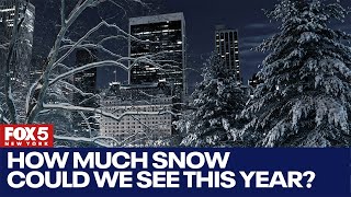 NYC winter 2024 How much snow could we see this year [upl. by Klotz]