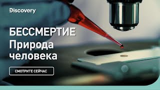 Бессмертие  Discovery  Документальный фильм 2023 [upl. by Ema]