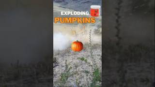 Exploding Pumpkins with Tannerite 🎃💥 [upl. by Ariay]