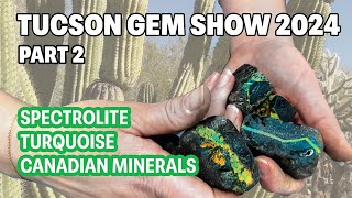 Tucson gem show part 2  Spectrolite Turquoise amp Canadian Minerals [upl. by Derriey]