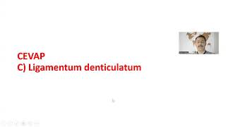 Quiz 2 Soru ve Cevapları Anatomi İnsan Anatomisi TUS DUS SBF Soru çözümü Arasınav Final Sınavı [upl. by Ishmael]