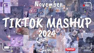 Tiktok Mashup November 💙2024💙 Not Clean [upl. by Maurizia]