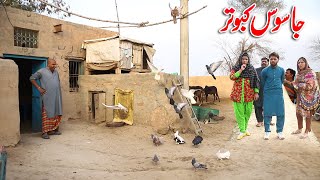 Jasoos Kabootar  Airport New Top Funny  Punjabi Comedy Video 2022 Chal TV [upl. by Martres]