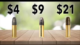 Budget vs Expensive 22 Ammo  RimX [upl. by Bena]