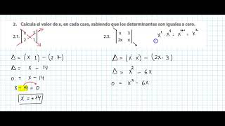 Beca de Itaipu  Eje Temático Algebra 5 Determinantes [upl. by Onitsuaf]