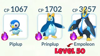 LeveL 50 SHADOW EMPOLEON Evolution Line in Pokemon GO [upl. by Iran]