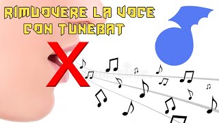 Come rimuovere la voce da una traccia audio con Tunebat [upl. by Ardnosak]