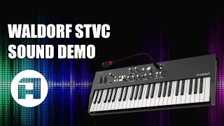 WALDORF STVC Ensemble Synthesizer amp Vocoder Sound Demo [upl. by Indyc862]