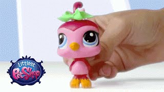 Littlest Pet Shop  Bobble Toys [upl. by Langsdon8]