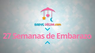 Bebé  27 Semanas de Embarazo  Signos y síntomas del embarazo [upl. by Zelde]