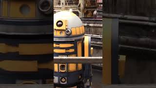 star wars Droid starwars disney [upl. by Velvet]