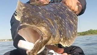 Targeting Early Spring Flounder  New Jersey Kayak Fishing  Fluke Fishing [upl. by Magnusson]