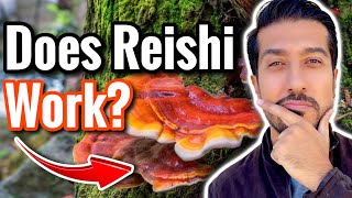 Reishi Mushrooms for Anxiety Cancer and Immune System  Are Reishi Mushrooms Safe [upl. by Hannavahs]