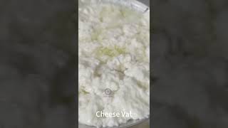 How to make mozzarella cheese dairy cheese [upl. by Glennie338]