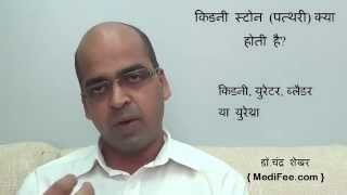 Kidney Stones Signs and Symptoms  Diagnosis  Prevention  Causes in Hindi [upl. by Enrev]