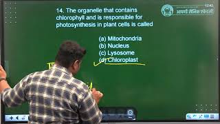 mcqs based on previous exams [upl. by Eimaraj301]