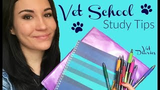 VET SCHOOL STUDY TIPS  Vet Diaries [upl. by Nadoj]