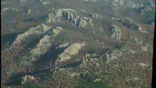 Helicopter tour over pine beetle invested trees in the Black Hills [upl. by Ecirtnahc]