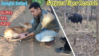 🔥 Satpura Tiger ReserveSTR Jungle Safari🔥 [upl. by Ingaberg]